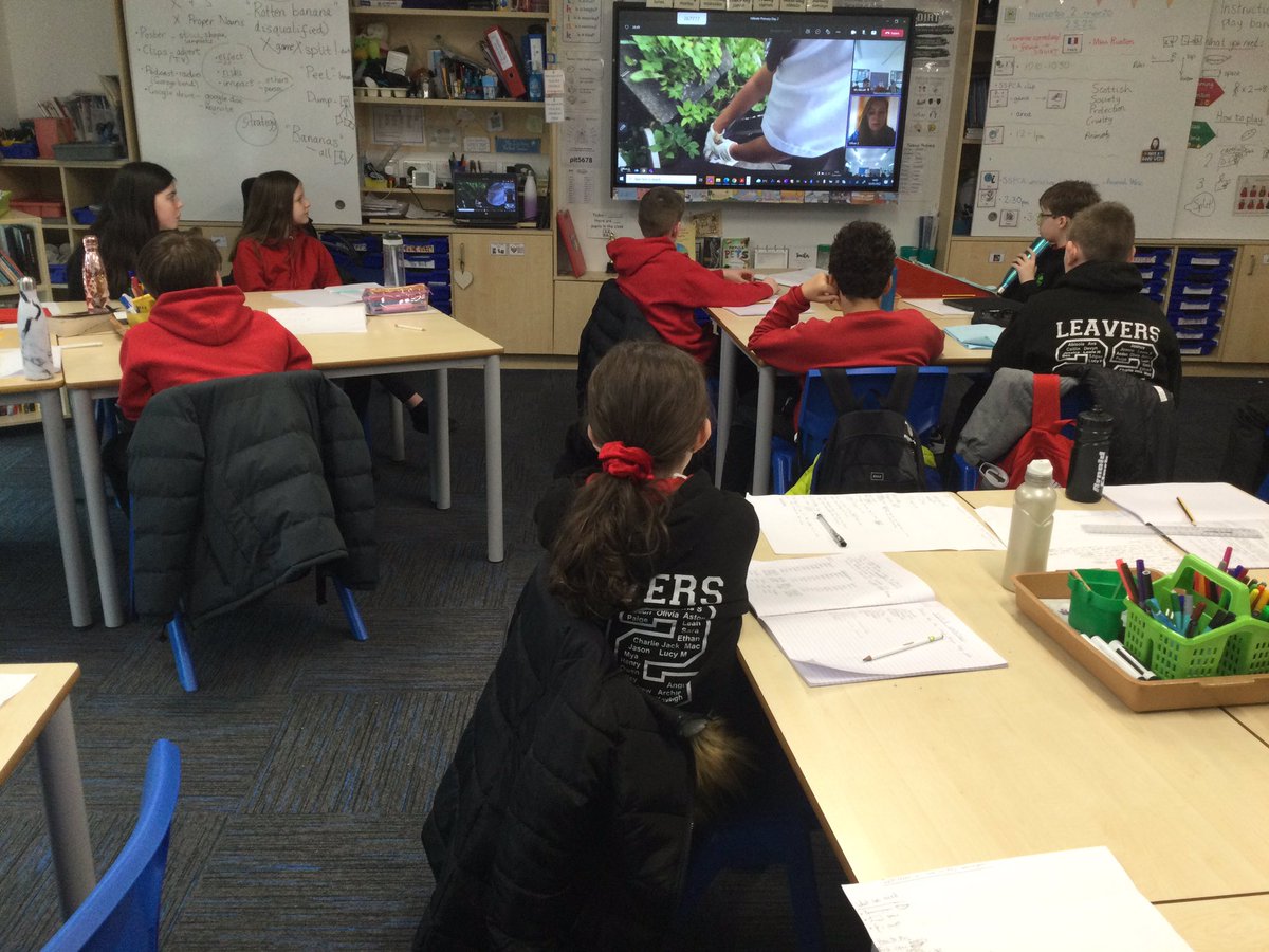SchoolHillside1's tweet photo. #P7LHillside are learning all about the @ScottishSPCA with Emily this afternoon and how to be #AnimalAware. https://t.co/MHBtgv2x3p