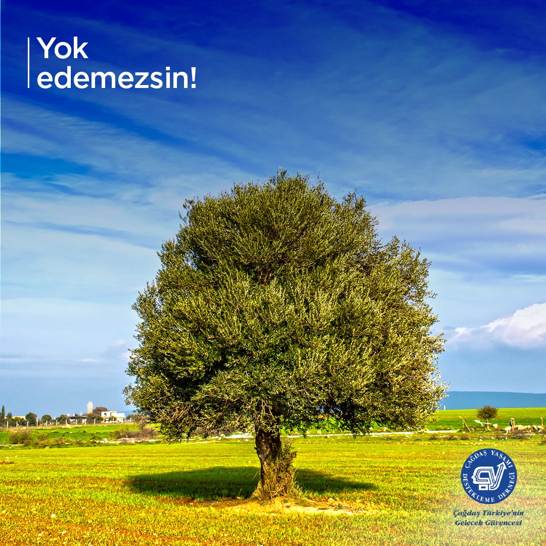 Zeytinimiz Ulusal Varlığımızdır!

Maden Yönetmeliği’nin 115. Maddesinde yapılan değişiklikle zeytinlikler madencilik faaliyetine açılmaktadır.