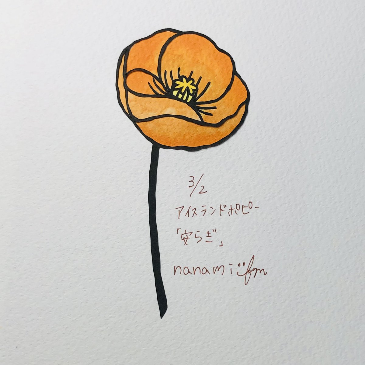 Twoucan アイスランドポピー の注目ツイート イラスト マンガ