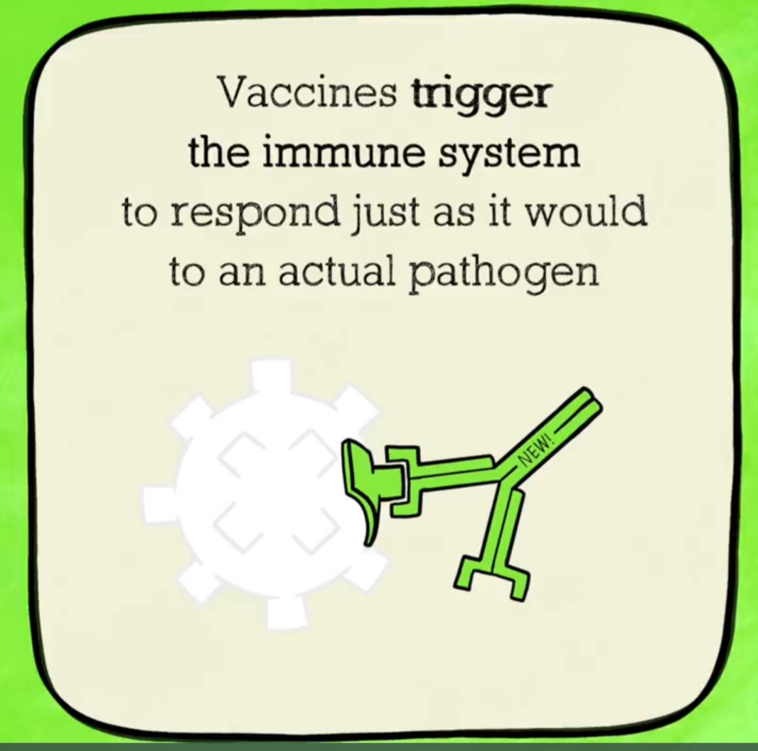 bloompubhealth's tweet photo. #BloomLearningSeries 
#QuestionsandAnswers 

Here is how vaccines work to protect you👇

#vaccines #vaccination #vaccineswork #publichealth #Africa https://t.co/jRt0PMw0mX