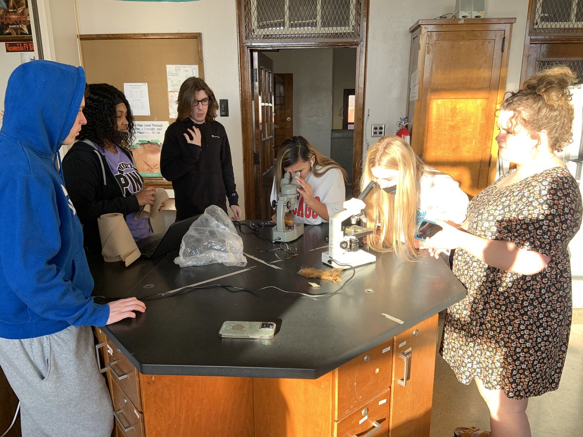CarboniferousPk's tweet photo. I love (meteorological) Spring!! We found 2 squirrel tails, Goldenrod seeds, a Bagworm pod, and just enough fresh clover to see the nitrogen-fixated rhizobia nodules!
#CHSProud #TooNiceToBeInside https://t.co/vczdorFHpS