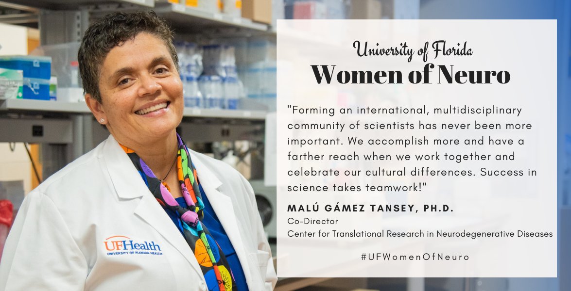 UF McKnight Brain Institute tweet media