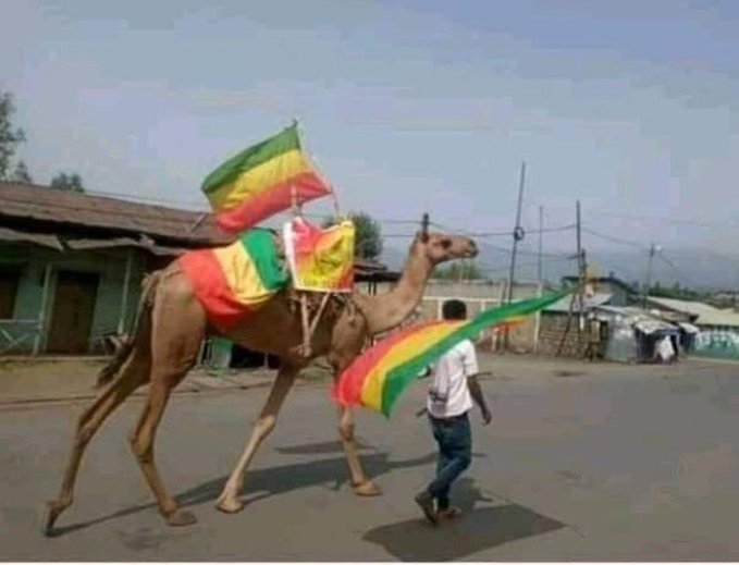 𝑯𝒂𝒚𝒖𝒕-ሃዩት ✍️🇪🇹 tweet media