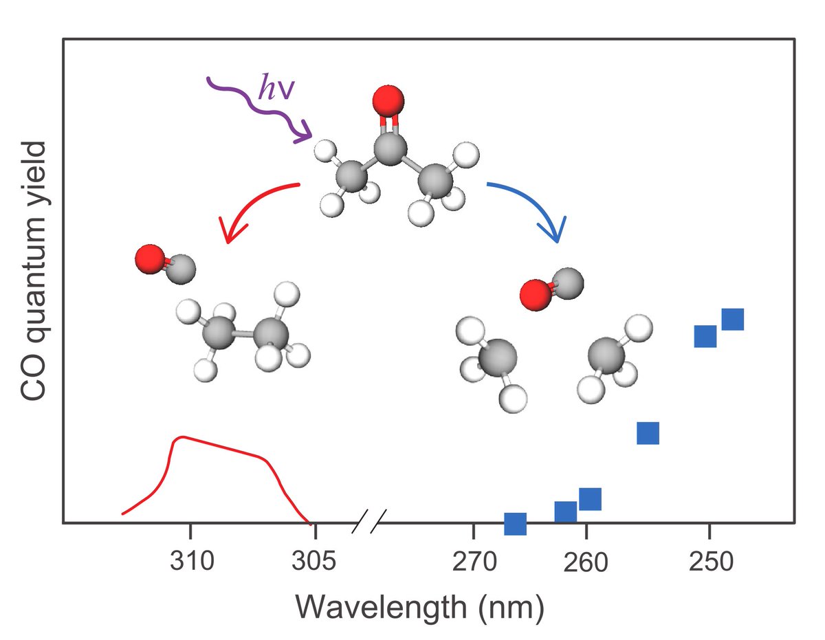 Lorrie Jacob tweet media