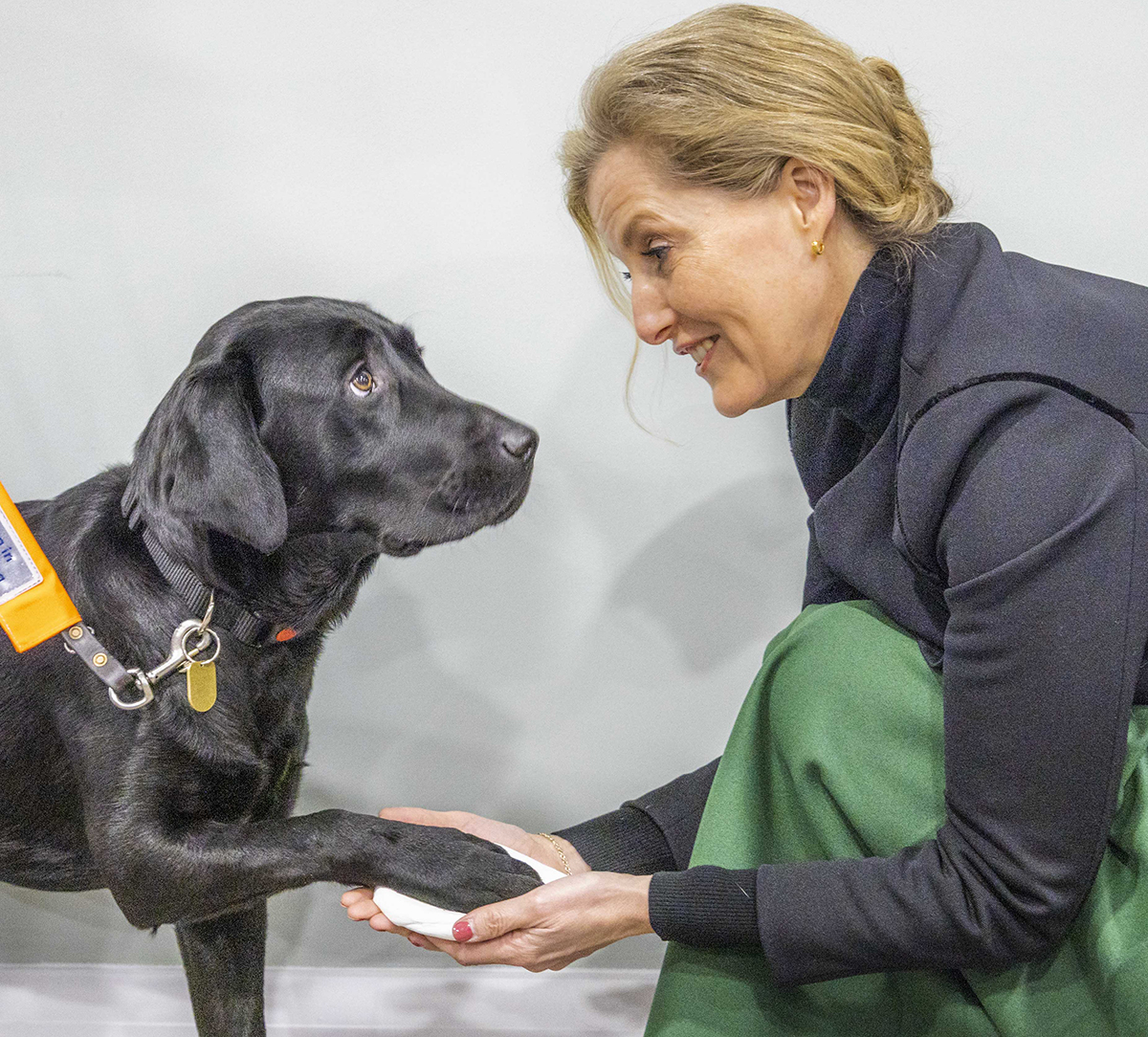 We welcomed a Royal visitor to our Berkshire Centre today! Our Patron, Her Royal Highness The Countess of Wessex, joined us for a tour of facilities and met staff from our Children and Young People’s Services team.

And of course, some of our guide dogs in training🦮