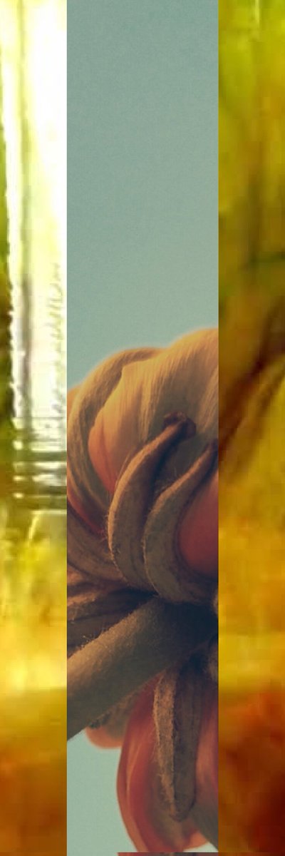 jacknotonma's tweet photo. 久しぶりに、
舞台のお知らせです！

｢そして、春｣
音楽と踊りの作品です。
チャレンジできること心から嬉しく思います。
見届けて頂けましたら幸いです。

2022.4.1 (fri) 15:00/19:00
アトリエ第Q藝術 1階ホール https://t.co/so0Ey1w3zn