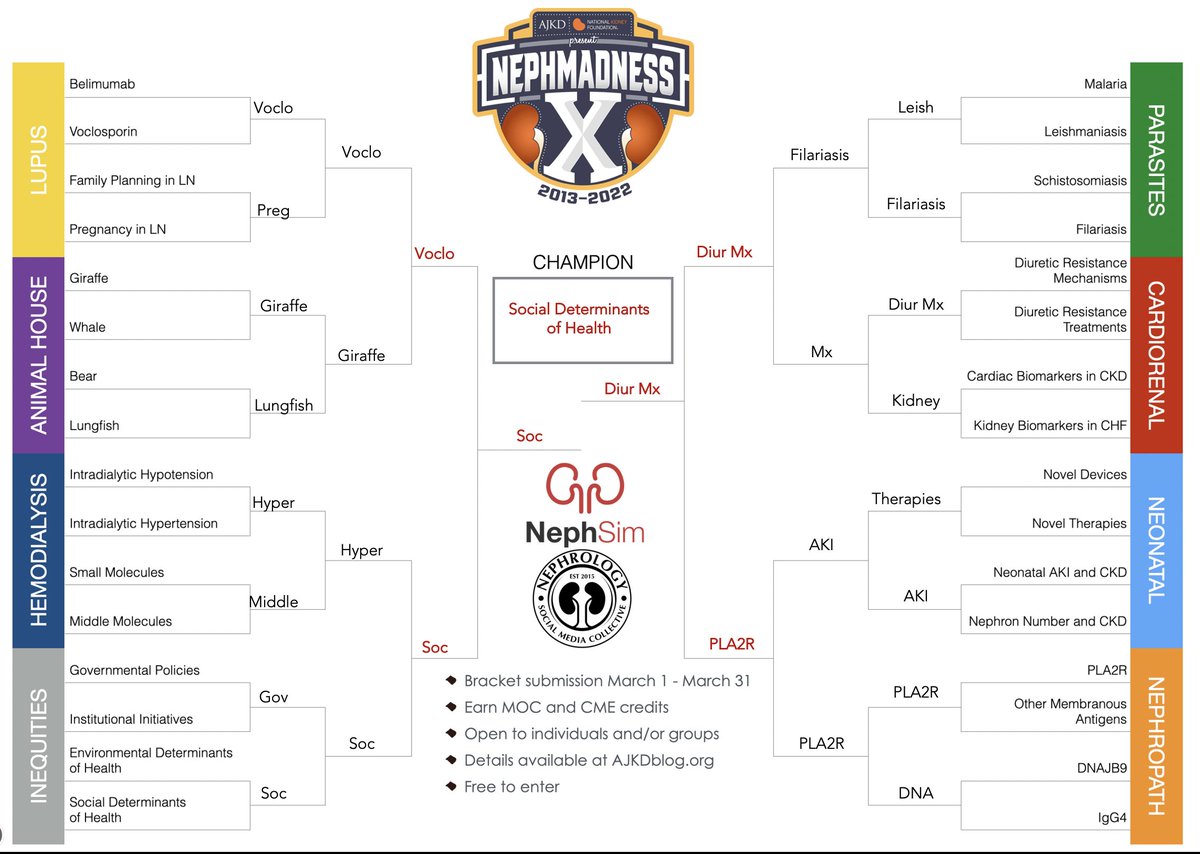 Neph_SIM's tweet photo. Our #NephMadness '22 picks!

Submit your 2 brackets by 3/31 at https://t.co/rv6aPtppTC 

In the #Filtered4:

Voclosporin 
🏆 Social determinants of health 🏆
Diuretic resistance mechanisms 
PLA2R

#AnimalHouse 🏆 : @NephGiraffe 🦒 https://t.co/axKXAcXAK6