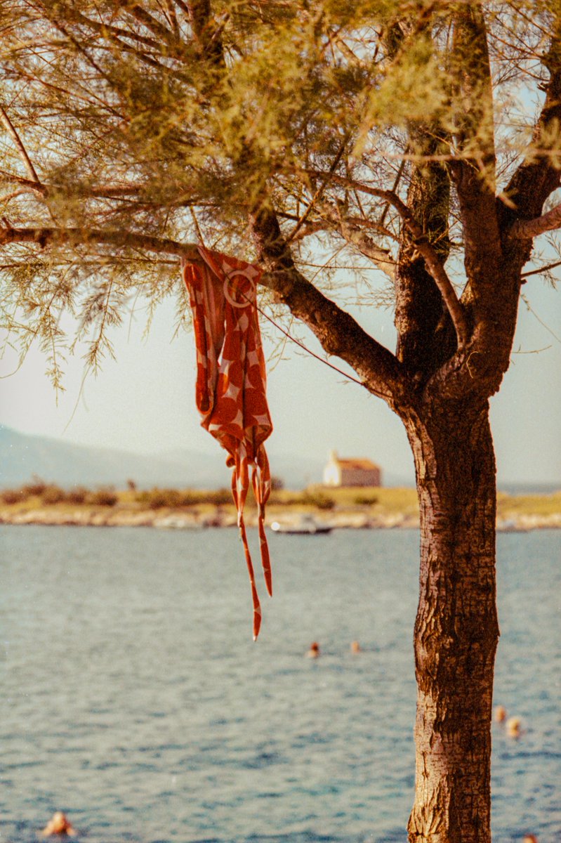 lightistic's tweet photo. midsummer heat shot on film ☀️🎞️ https://t.co/TavJpz2hhs