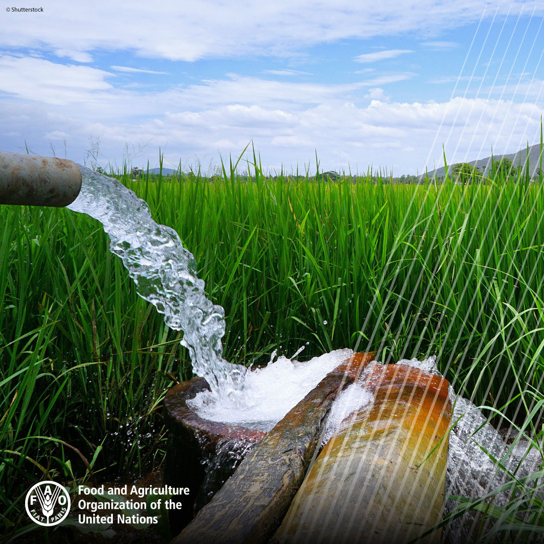 Antimicrobials given to humans, animals, and plants enter the environment via wastewater.

 <a href="/GLGAMR/">Global Leaders Group on AMR</a> calls for all countries to develop and implement regulations and standards to better monitor and control the distribution and release of antimicrobials.

👉bit.ly/35I1H0L