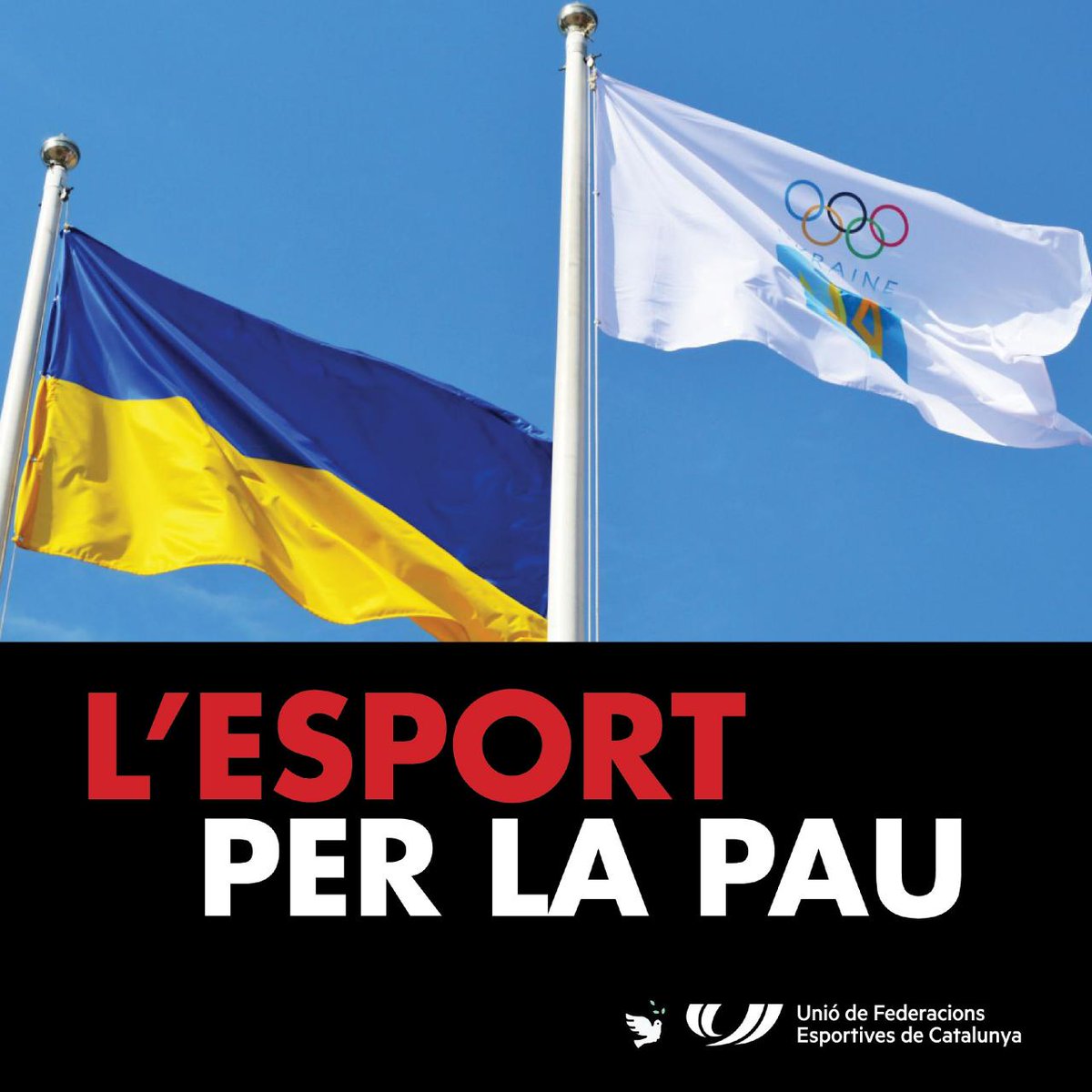 🕊 L'esport català està al costat de la pau i en contra de la guerra.

📝 Adhereix-te al manifest contra la guerra d'Ucraïna: ufec.typeform.com/to/ec8E9MEp

📍 Les entitats i federacions esportives adherides seran també punts de recollida d'aliments i productes de primera necessitat.