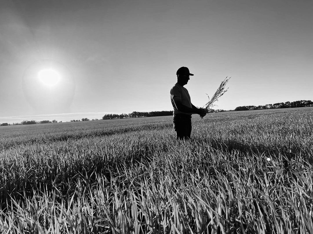 redshedmalting's tweet photo. Agriculture and farming are among the most vulnerable populations when it comes to mental health.

40% of producers across Canada reported that they would feel uneasy about seeking professional help due to what people may think.

@domoreag @FCCagriculture #Agtwitter #Farmers https://t.co/tJJ1NXjf2K