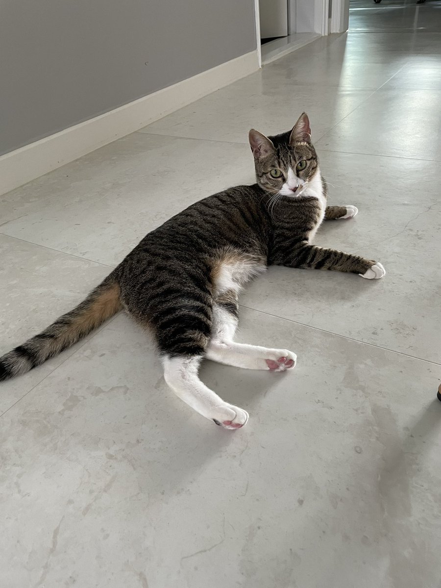 여전히 행복하고 잘 지내고있는 우리 애기들