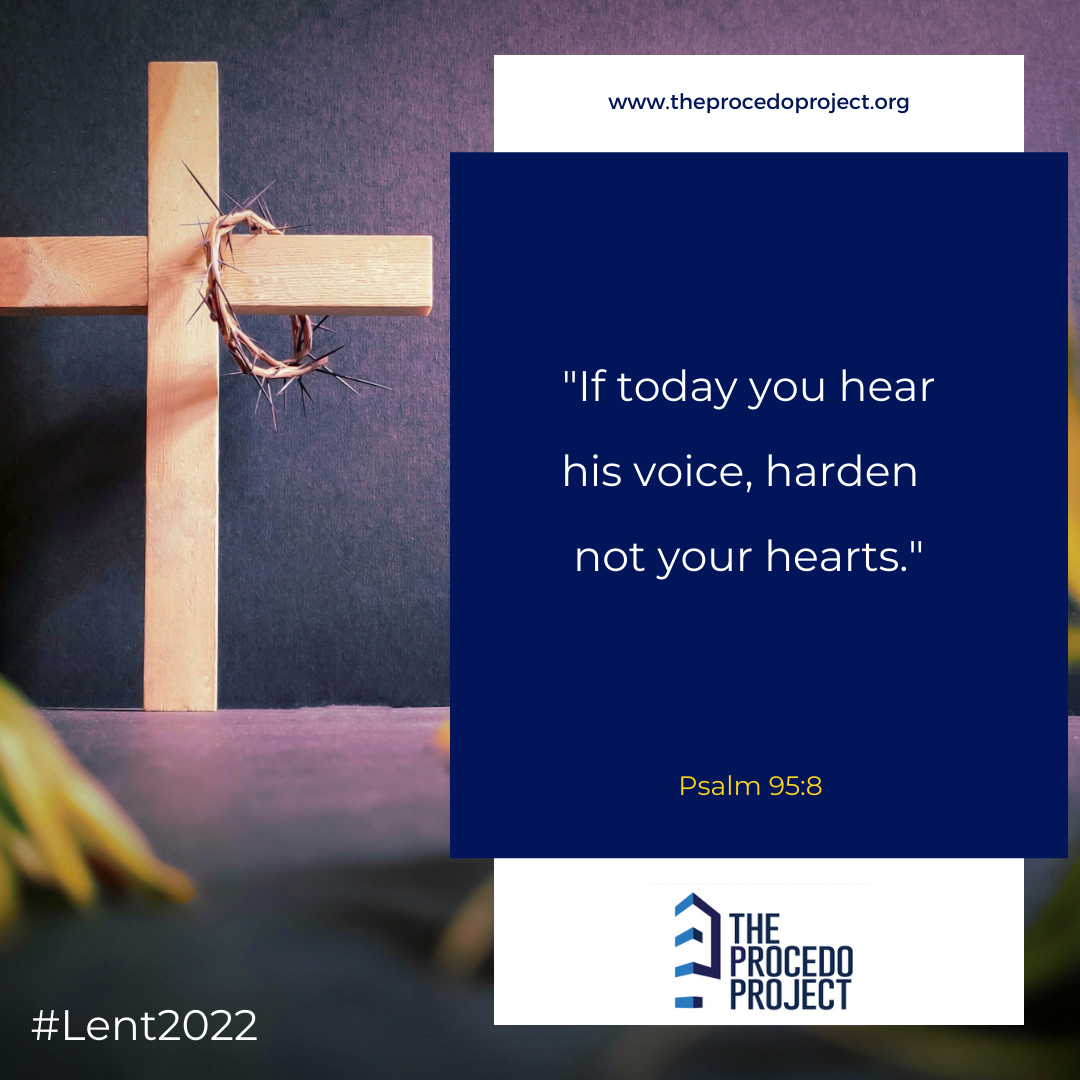 The Procedo Project tweet media