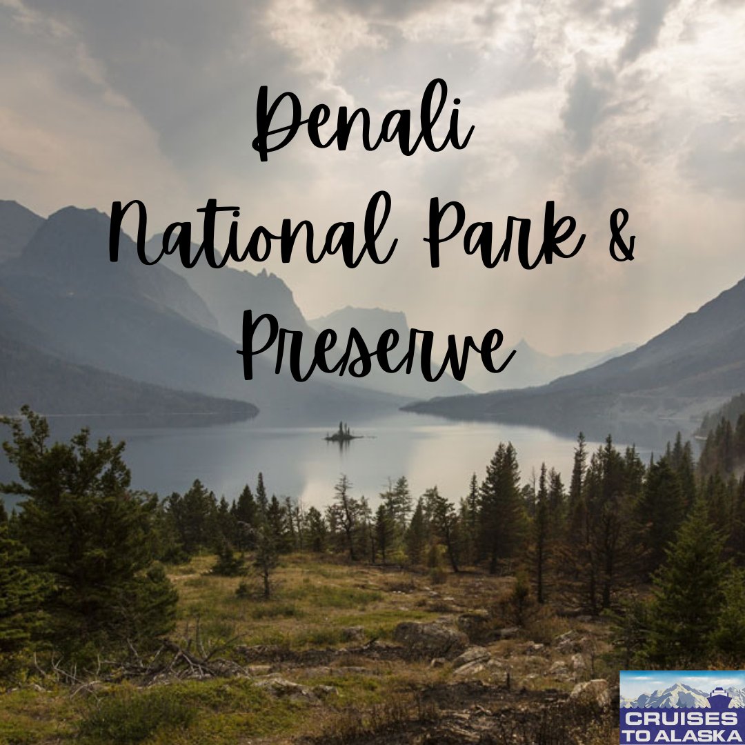 cruisestoalaska's tweet photo. ๐Denali National Park & Preserve is among our top 10 favorite destinations within Alaska. It stretches 6 million acres, with one ribbon of a road going 91 miles into the National Park.
#Denali #NationalPark #Nature #Tourism #Travel #Vacation #Cruise #CruisesToAlaska https://t.co/ozbjjFhiuY