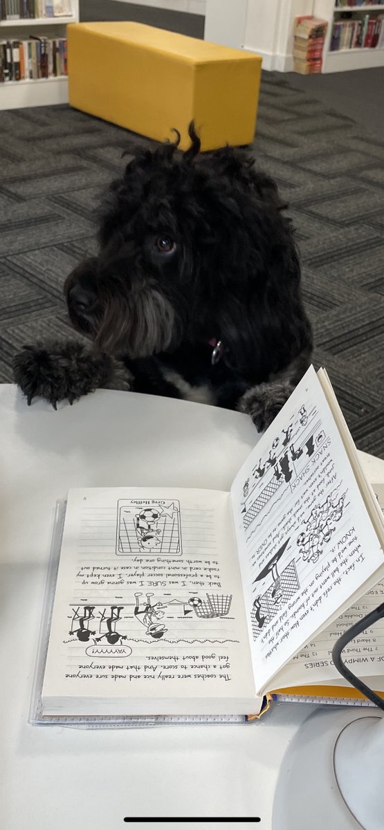JHGSHW's tweet image. Even Molly was getting ready for #WorldBookDay in the LRC at lunchtime today @JHGSEnglish #BeMoreInterested