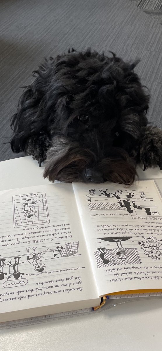 JHGSHW's tweet image. Even Molly was getting ready for #WorldBookDay in the LRC at lunchtime today @JHGSEnglish #BeMoreInterested