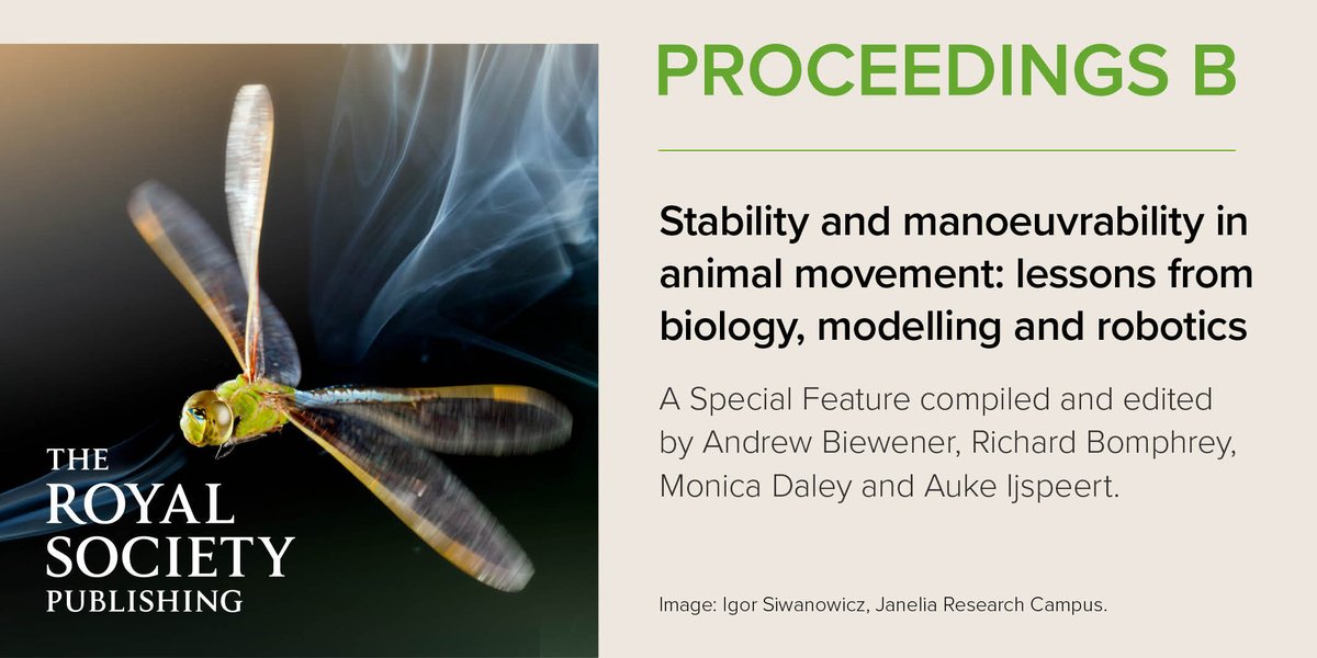 RSocPublishing's tweet photo. The Guest Editors of #ProcB's special feature on #AnimalLocomotion tell us more about the papers, reasons for the collection and how it came about #Biomechanics #Evolution https://t.co/EyzNOLFvH0 https://t.co/KkmghZ3umr