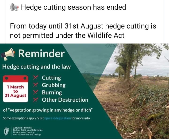 A reminder to report any illegal hedge cutting.