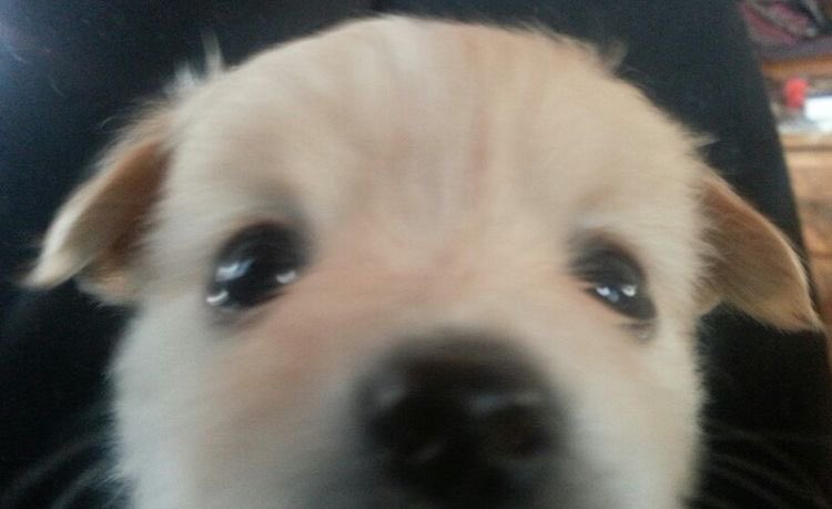 📸🌵 (@psparta356) on Twitter photo 