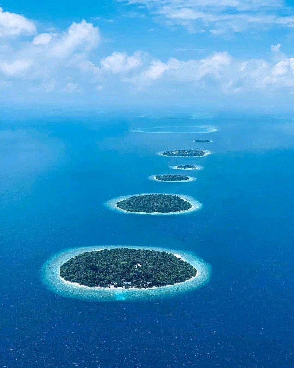 Hippolytekoa's tweet photo. L'investissement crypto demande de la patience https://t.co/LFE8fr8aS2