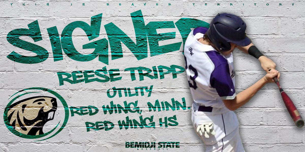 Bemidji State Baseball tweet media