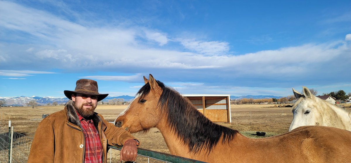 Horsing around this morning