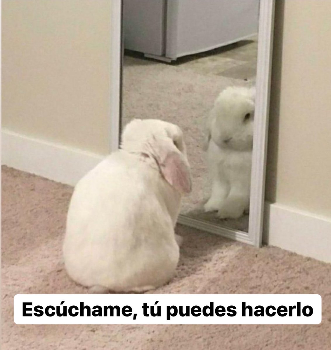 Yo todos los días: