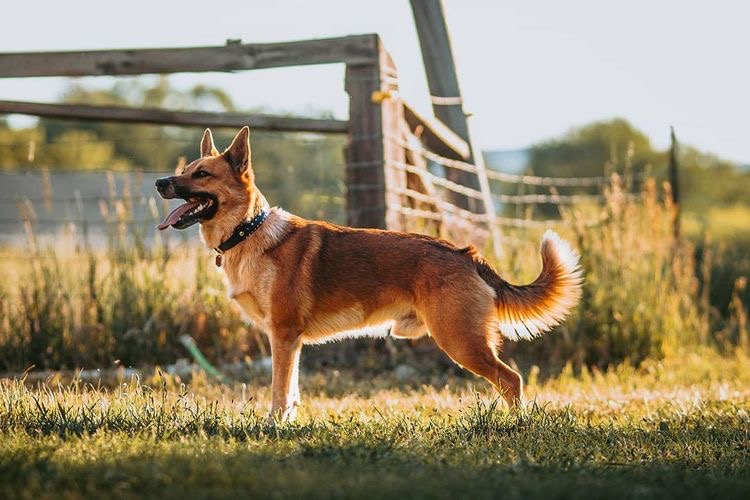 Sportsman's Pride tweet media