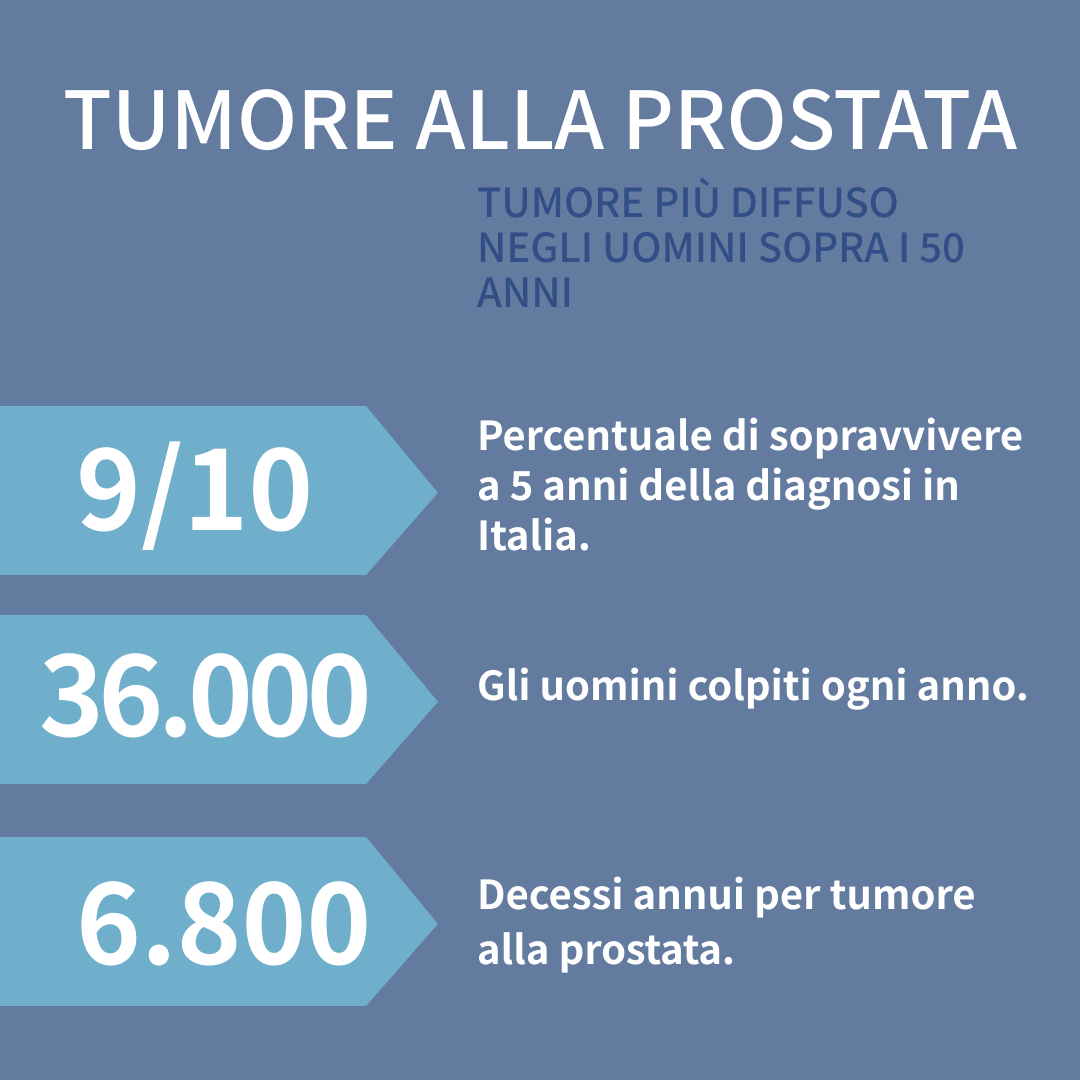 Fondazione Pro tweet media
