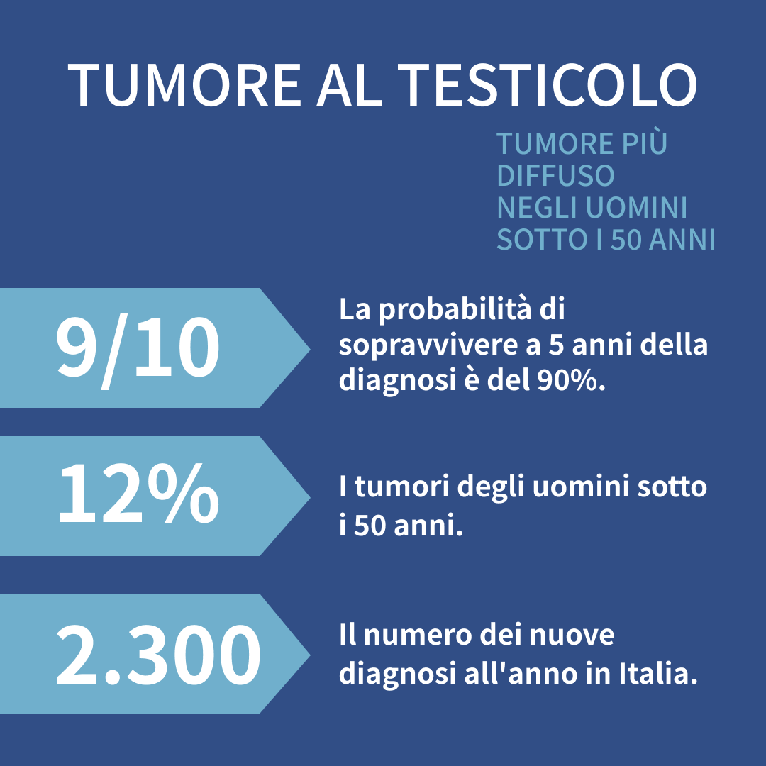Fondazione Pro tweet media