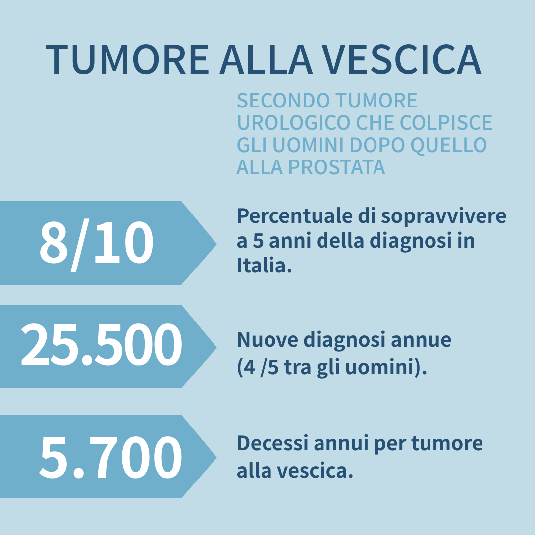 Testicolo, prostata e vescica sono i tre organi maggiormente interessati dallo sviluppo di neoplasie negli uomini. Leggi le card  per saperne di più.