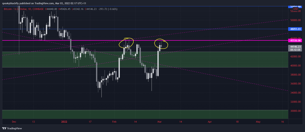 Wolves Of Crypto tweet media