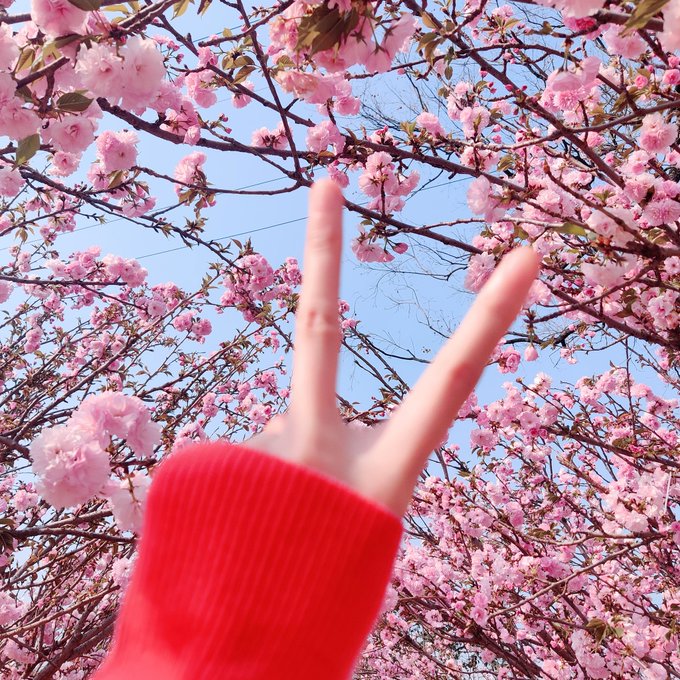 Twitterのコスプレ画像33