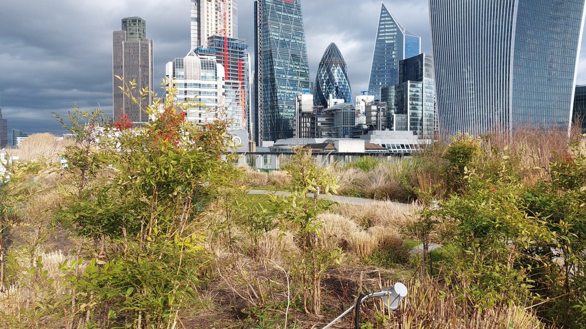 Kings Landscapes tweet media