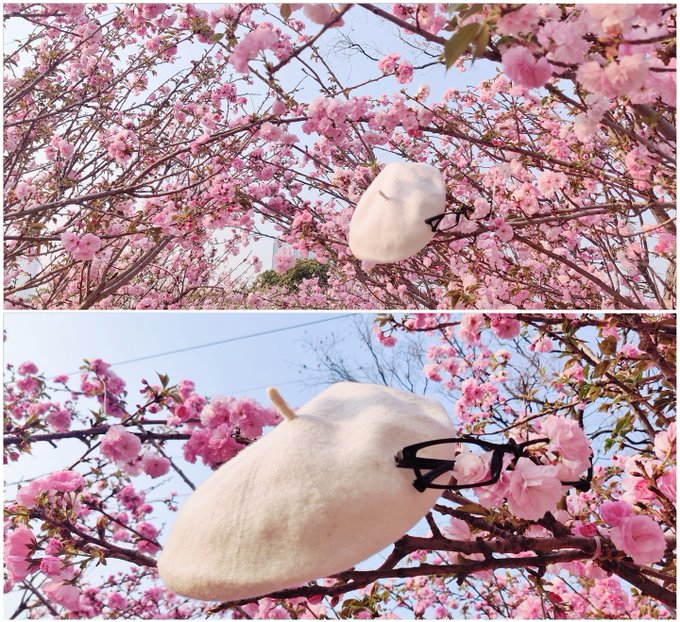 Twitterのコスプレ画像30