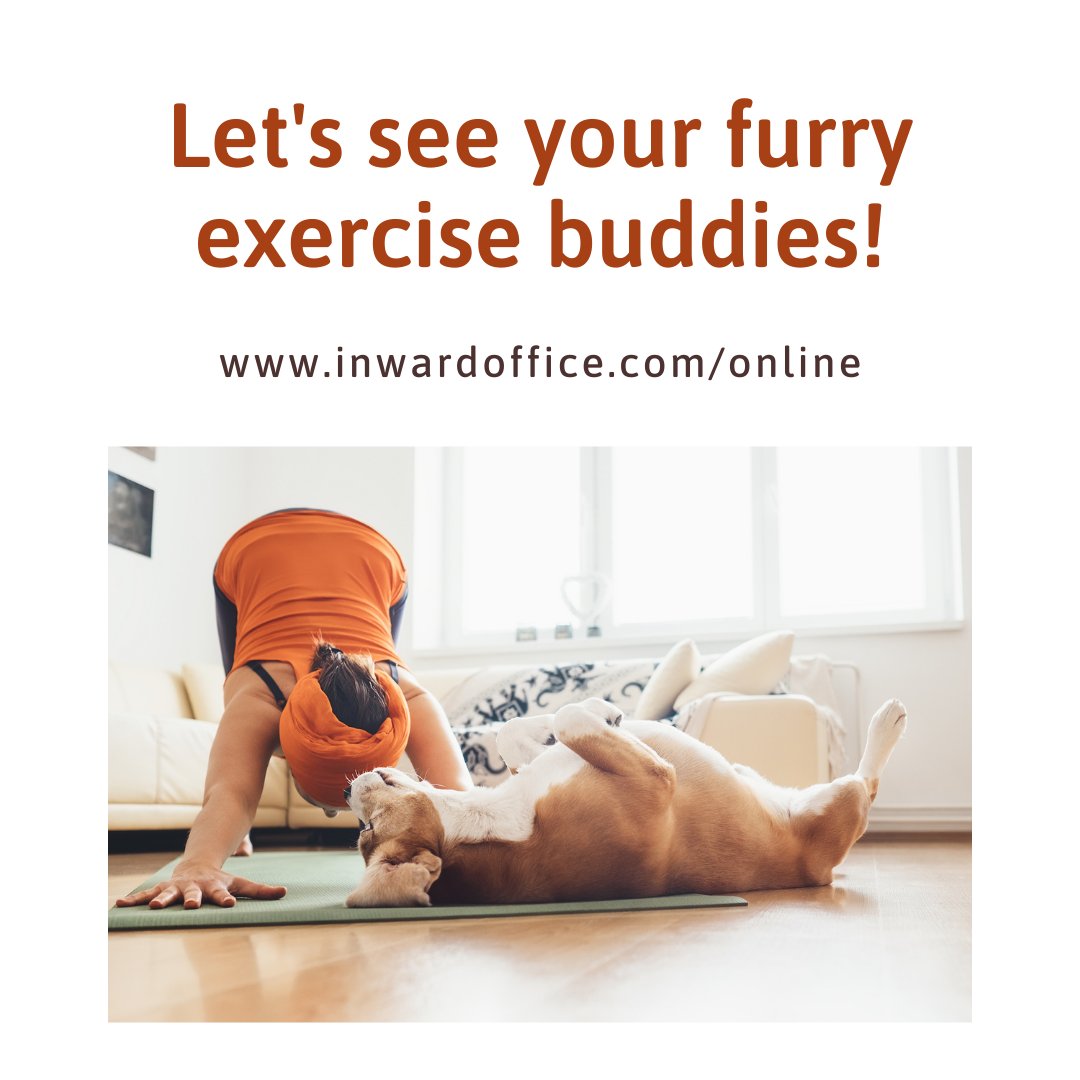 InwardOffice's tweet image. Who joins you when you get down on your mat? We want to meet your buddy!
#exerciseeveryday #exercisewithanimals #moveyourbody #corporatewellness #corporatewellbeingprogram
