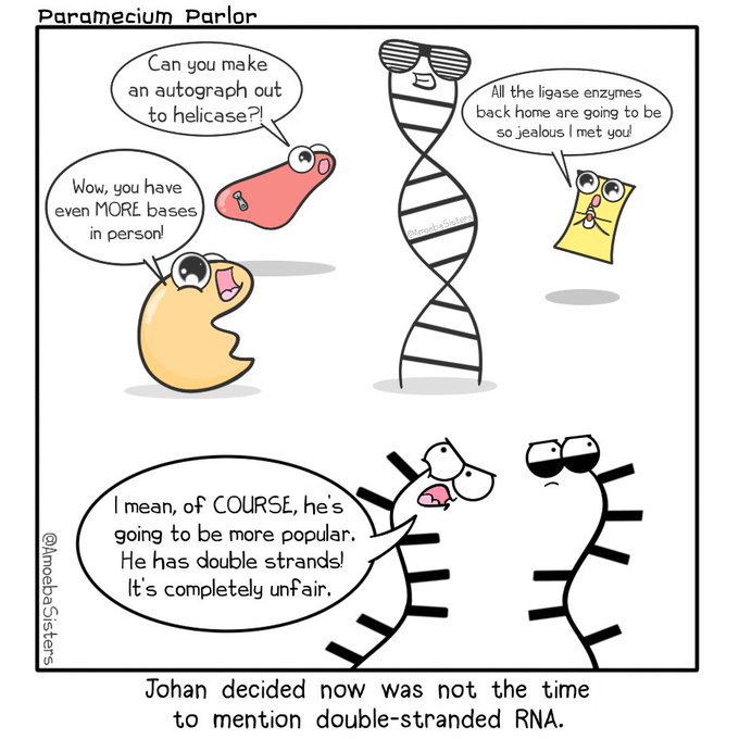 Looks like it's prime time for dsDNA! 😏😉😉

Image by the Amoeba Sisters

#dsDNA #DNA #phdlife #lablife #laboratory #lifesciences #sciencememes #laboratorylife #labmemes