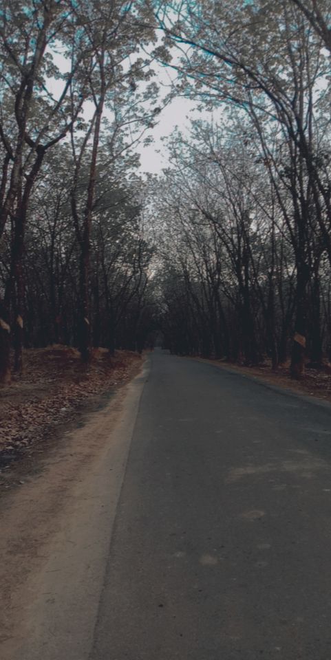 FurdousTinni's tweet photo. Can anyone say where's it ?? https://t.co/7SmiuGiOk2