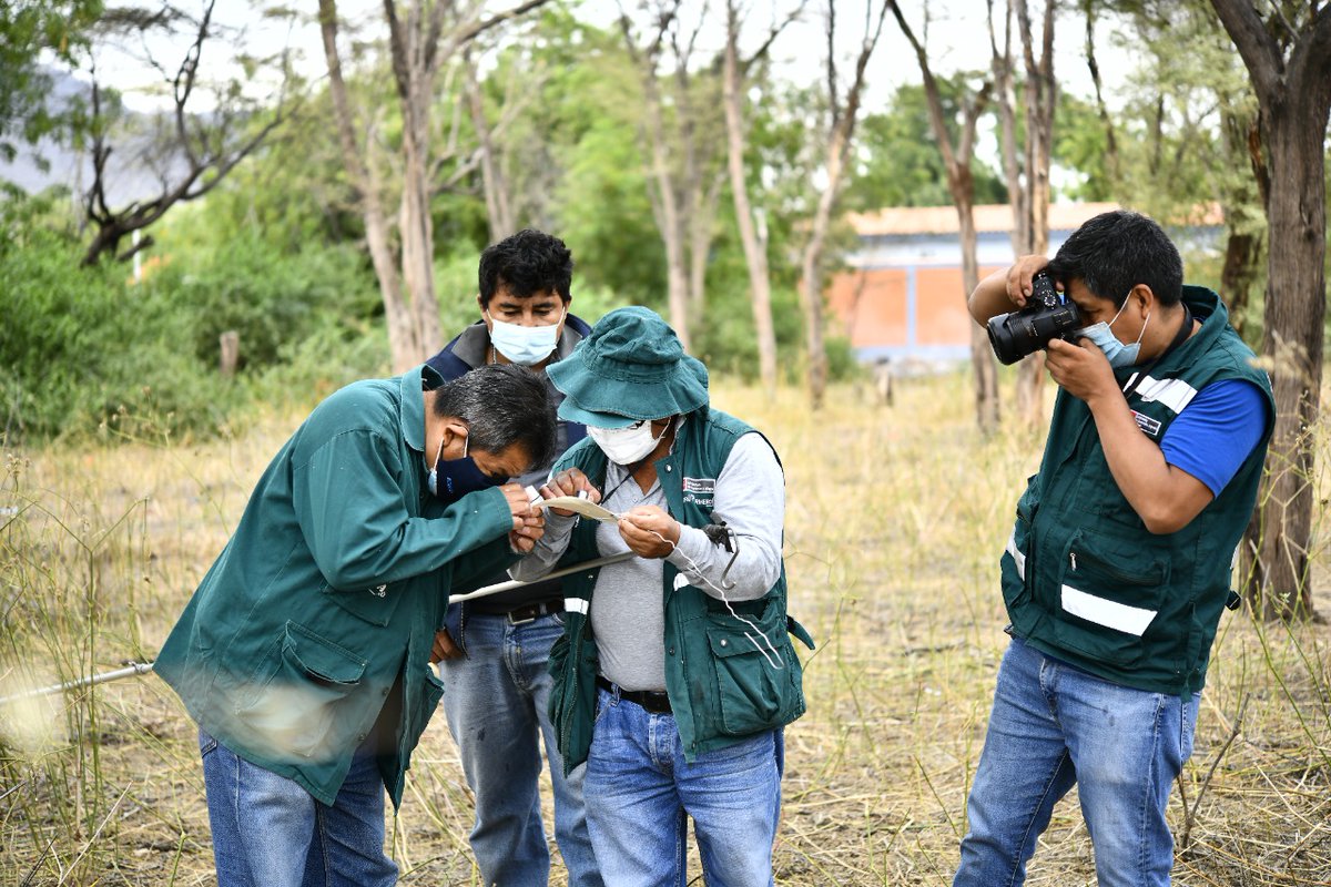 proactivoperu's tweet photo. 🌳 ISA REP impulsa estudio que busca identificar mejores técnicas para la preservación de #Algarrobos | #ISAREP #Senasa #Serfor #Energía #ResponsabilidadSocial @proactivoperu
👉 https://t.co/pM300xFUMZ https://t.co/S3SH47V8jb