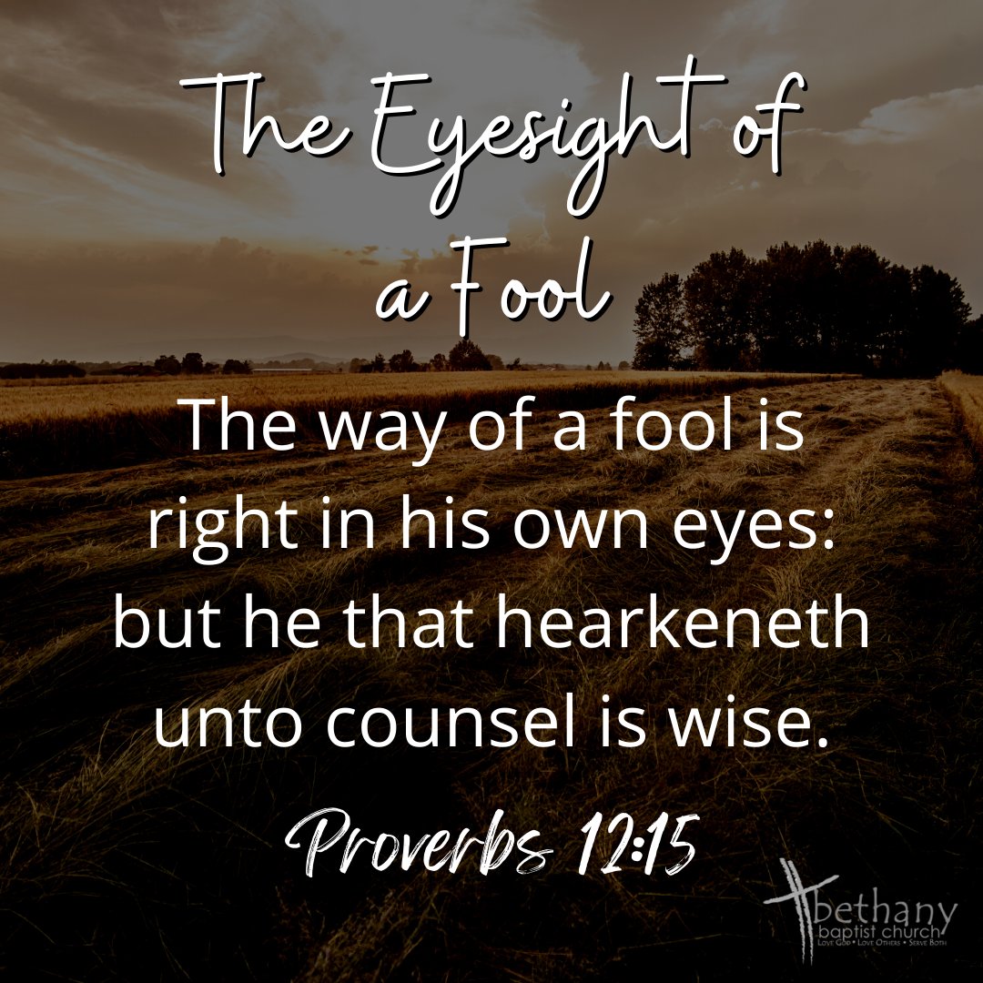 Bethany_BBC's tweet photo. The Eyesight of a Fool - https://t.co/OOMEPJkoDs https://t.co/rD5JlGxAeR