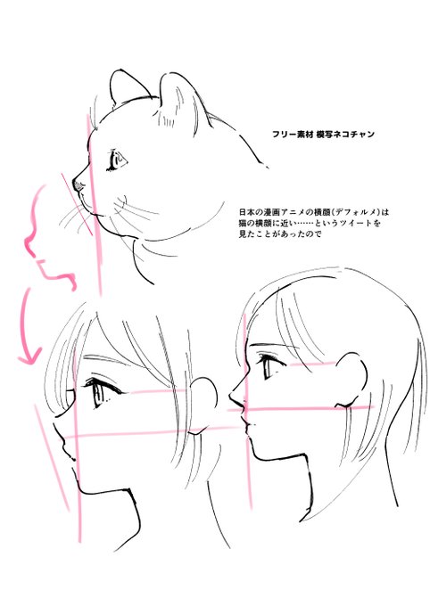 デッサン的に正しいかはチョト分からない 覚え書き 