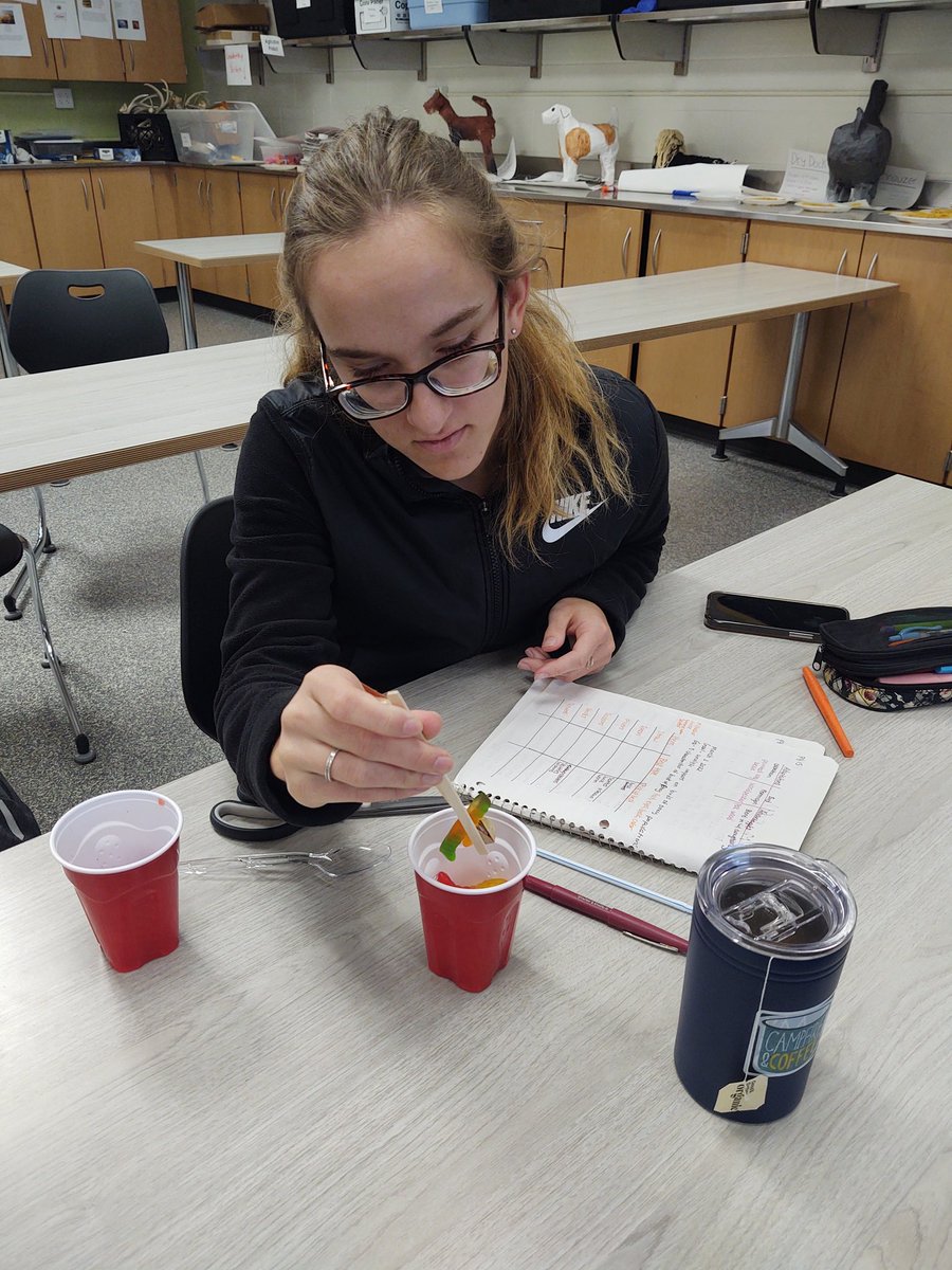 Advanced Wildlife students investigated bird adaptations using a variety of tools to represent bird beaks to see why birds beaks are specialized. #inquiry #gocrickets <a href="/fccrickets/">Fall Creek School District</a>