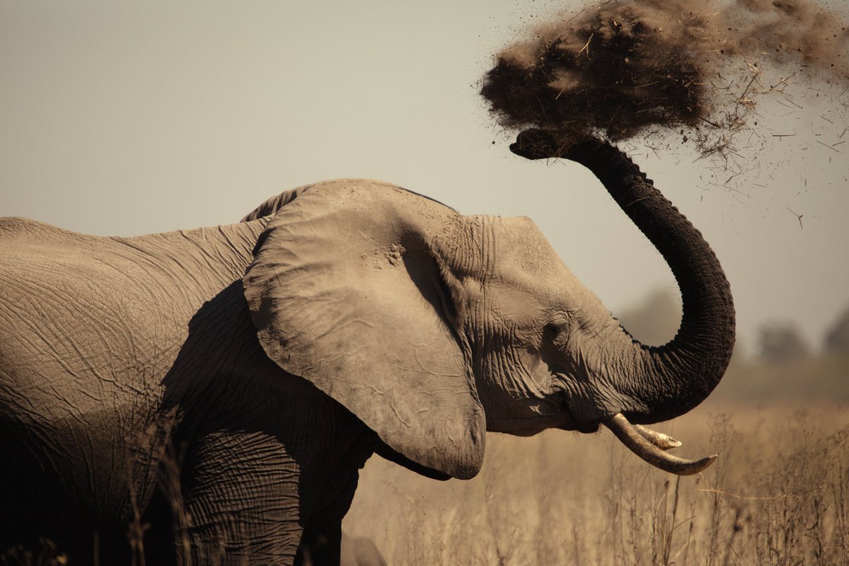 Only 1 more day to go! Surviving Paradise: A Family Tale debuts on Netflix tomorrow.