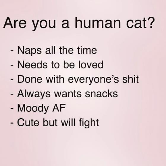 I’ve figured it out 💡#adhd #adhdhumour