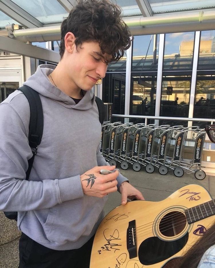 faiyshwn's tweet photo. coisas ditas por shawn mendes pra serem lidas em dias ruins; a thread. https://t.co/nRuxWor1X3