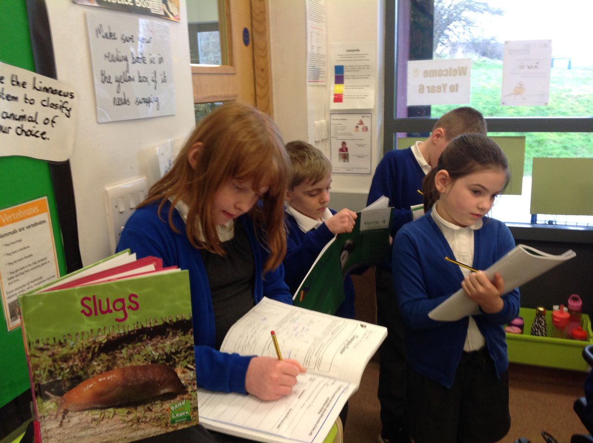 WillowGreenAcad's tweet photo. Year 4 started their new Science topic 'Sound'. We went for a sound walk around school. Some places were very loud, some were quiet and some were even silent. Ask your child to tell you which room was the loudest!
#WGAscience
#Deltasciencelab
@priscigeeks https://t.co/MAeDE8P5w0