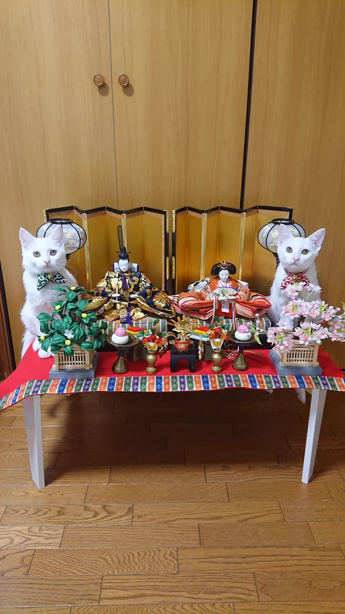 尊すぎる‼お内裏様とお雛様の両サイドになりすまし猫ちゃん発見‼