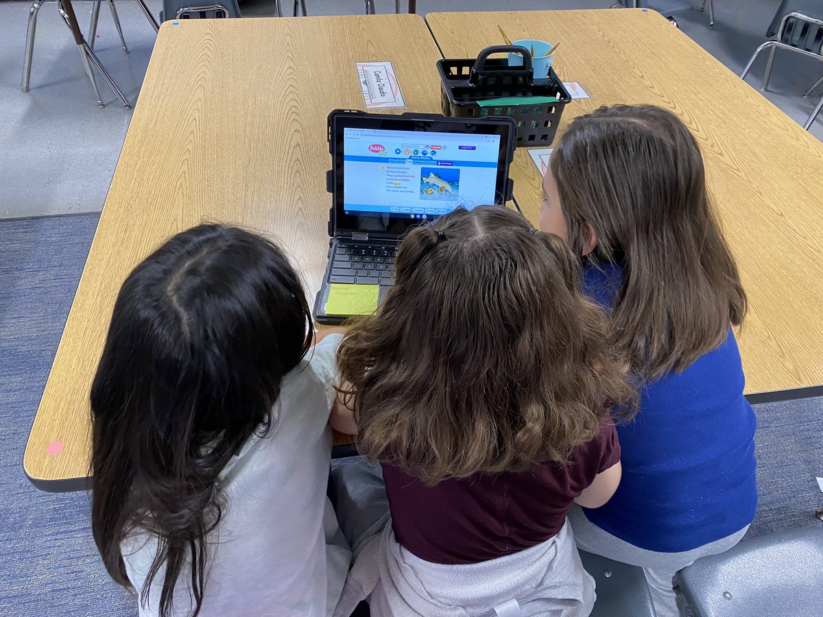 Ashley Webster tweet media