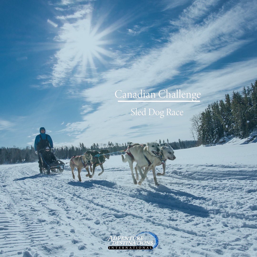 adventuredest_'s tweet photo. The Canadian Challenge Dog Sled Race and our Frozen February Fun event was a HUGE success this weekend! We would like to thank @CCSleddograce hosting at our resort the mushers and their dogs for participating and everyone that attended!
Counting down the days until next year! https://t.co/tESdM2nhuu