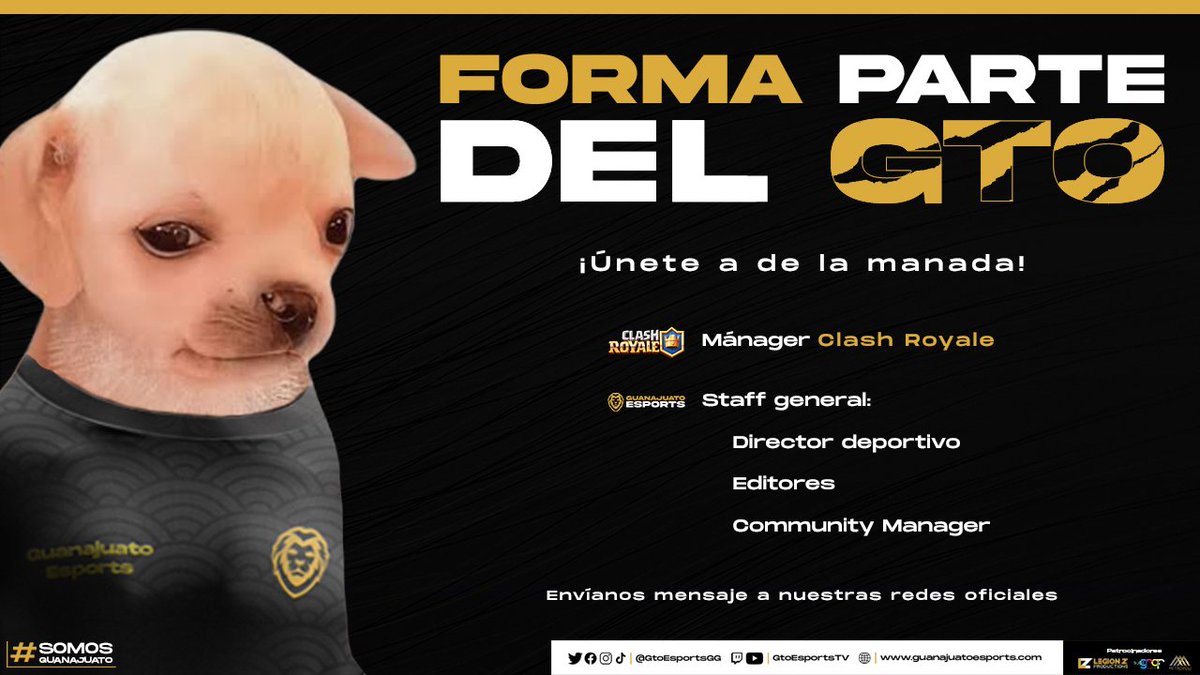 𝗙𝗼𝗿𝗺𝗮 𝗽𝗮𝗿𝘁𝗲 𝗱𝗲𝗹 𝗚𝗧𝗢 🦁🖤💛

Seguimos en busca de Staff de #ClashRoyale y puestos generales del Club. 🎮

Contáctanos por nuestras redes para más información. 🦁ℹ️📩

¡La manada te necesita! 🦁🖤💛

#SomosGuanajuato